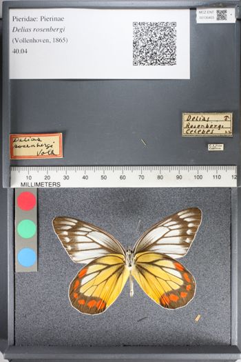 Media type: image;   Entomology 130403